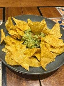 Café Iguana MEXICAN GRILL