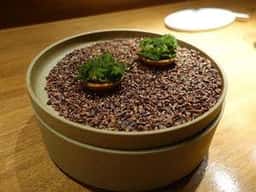Yumanite