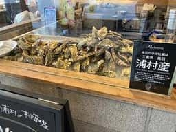マーケテリア
