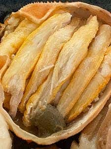 カフェ＆おでんBAR 891テラス