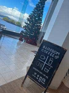BLOSSOM COFFEE