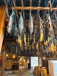 千年鮭 きっかわ