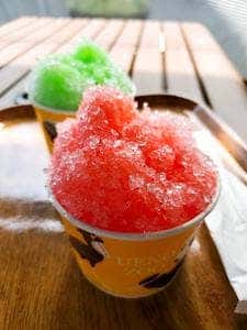 バードソング 上野動物園