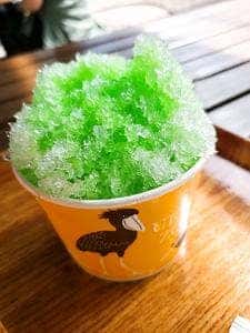 バードソング 上野動物園