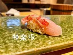 神楽坂 よこ田