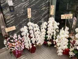 鮨 由う