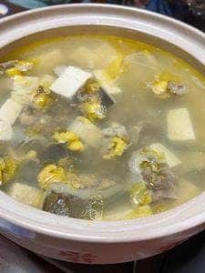 すっぽん料理 土佐一