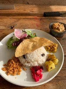 earth tree cafe MONTO