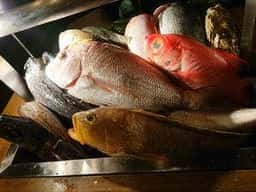 なきざかな 新宿店はなれ