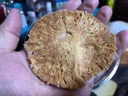 ガトウ専科 夏花火館