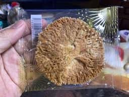 ガトウ専科 夏花火館