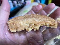 ガトウ専科 夏花火館