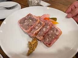 Tartaruga