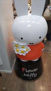 Flower Miffy juice garden サンシャインシティアルパ店