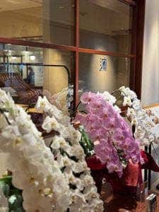 割烹ダイニング 波里