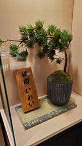 赤坂 鮨 天ぷら 祇園いわい