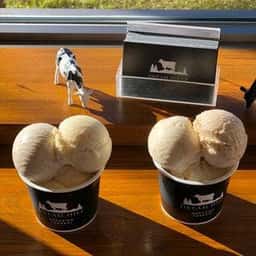 ドリームドルチェ