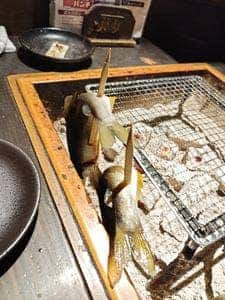 海鮮肉炉端 ひぐま一家