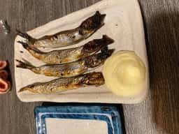 串焼亭 ねぎ 北与野店