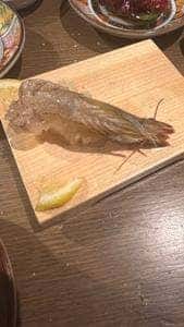栄 鮨食人 五と二