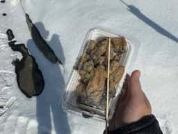 道の駅 サロマ湖 ファーストフードコーナー