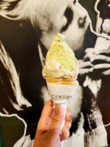 COCOPLUS