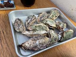 モトかき養殖場