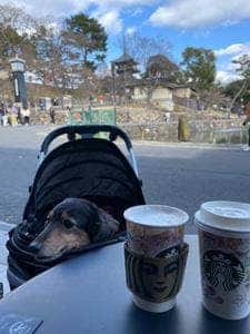 スターバックス コーヒー 奈良猿沢池店