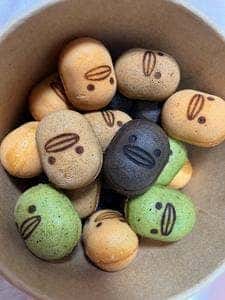 カステラのあかちゃん