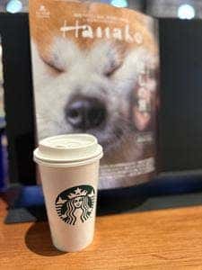 スターバックス コーヒー TSUTAYA BOOKSTORE 東雲店