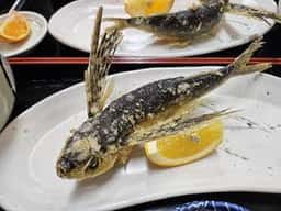 レストラン 杉匠