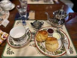 Tea Salon Blue moon