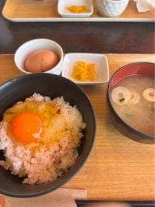 たかたのたまご