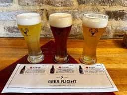 ダニエルハウス