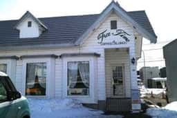 フリータイム