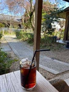 Coffee Base NASHINOKI