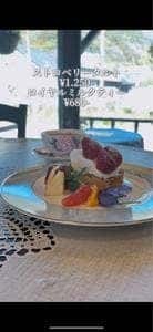 ティーグレース