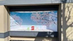 聖護院八ッ橋総本店 熊野店