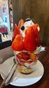 フルーツガーデン フルーツ永野