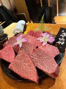 きみや 大阪本店