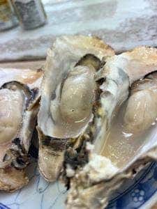 みさきさざゑ店