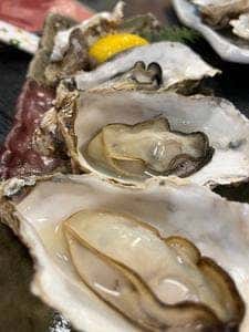 鳥羽一番街飲食店味佐々