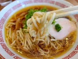 さぬき親鳥中華そば かしわの木