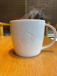 スターバックス コーヒー 新三田桜のこみち公園店