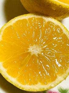 石澤商店みかん問屋