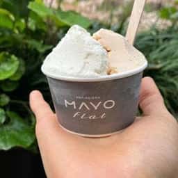 Pâtissière MAYO flat