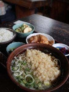 たぬき