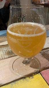 ワイワイジー ブルワリー&ビアキッチン