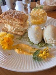 クッチーナ・サクラ