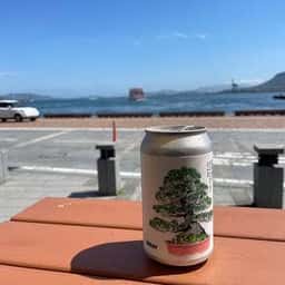 G7 cafe シルバー